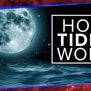 What Physics Teachers Get Wrong About Tides!