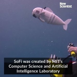 Robotic fish controlled by Nintendo - YouTube