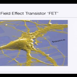 Bio electricity by Prof. Mainak Das (NPTEL):- Lecture 29