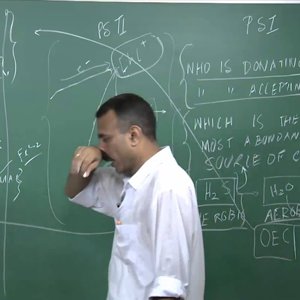Bio electricity by Prof. Mainak Das (NPTEL):- Lecture 33