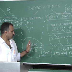 Bio electricity by Prof. Mainak Das (NPTEL):- Lecture 34