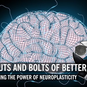 Nuts & Bolts of Better Brains: Harnessing the Power of Neuroscience