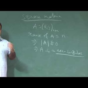 Abstract and Linear Algebra by Prof. Sourav Mukhopadhyay (NPTEL): Lecture 31: Rank of a matrix