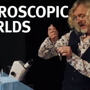 The World Under a Microscope - with Marty Jopson