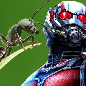 What A Bug Scientist Says About ‘Ant-Man’ - YouTube
