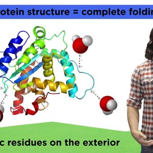 Protein Structure - YouTube