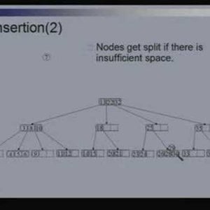 Lecture - 13 Trees - Data Structures and Algorithms by Dr. Naveen Garg (NPTEL)