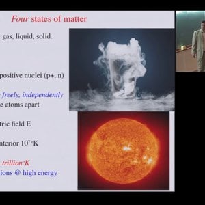 A Golden Age in Physics: Heavy Ion Physics at High Energies by Rob Pisarski