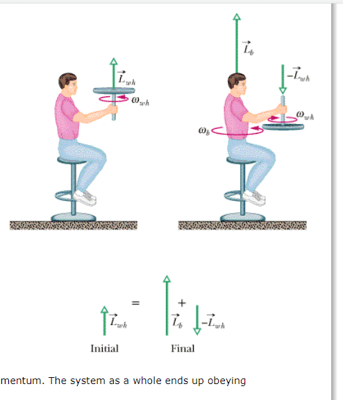 conservation of angular momentum equation