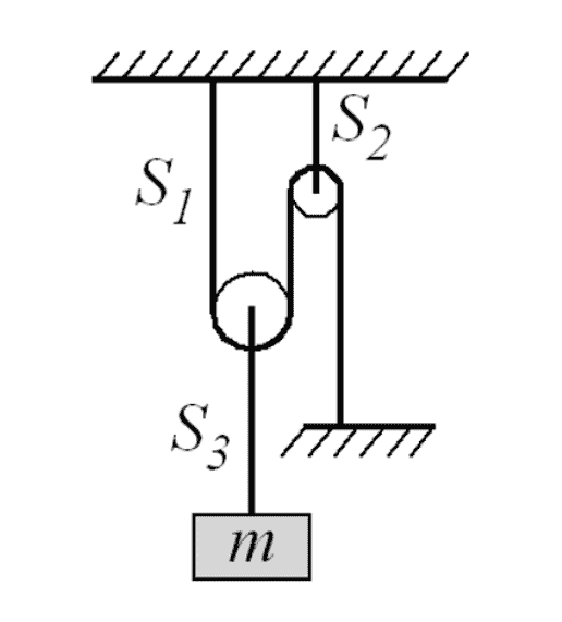 Forces in a Line: Examining the Relationship Between Mass and Force