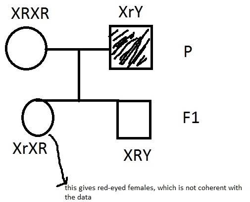 16m3vrc.jpg