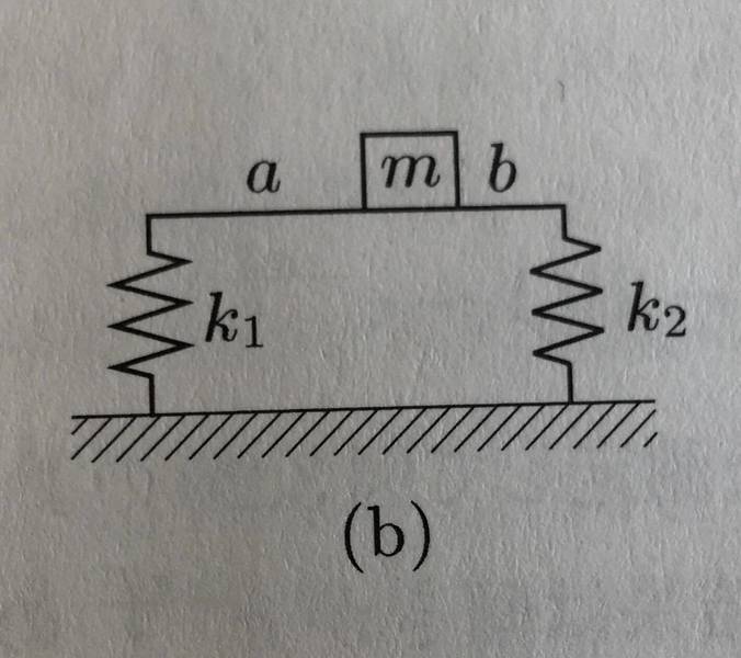 The Frequency Of Two Parallel Springs And One Weight System Physics Forums