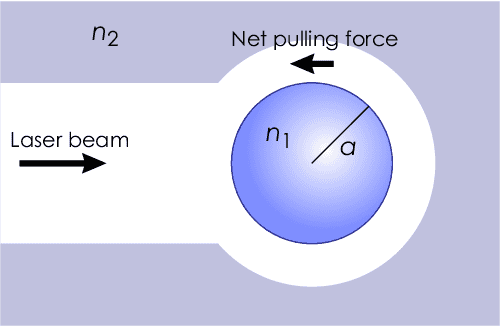 2-Figure1-1.png