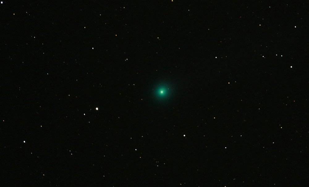 2015-01-14  C Lovejoy.jpg