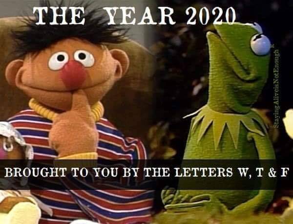 2020 and the letters WTF.jpg