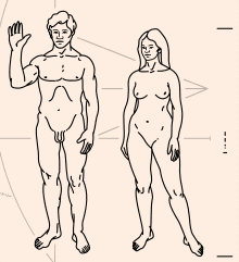 220px-Pioneer_plaque_humans.svg.png