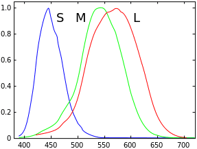 287px-Cones_SMJ2_E.svg.png