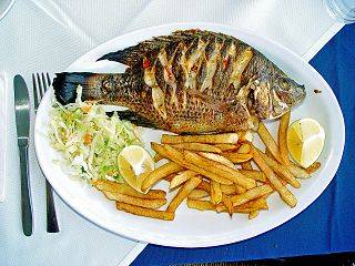 320px-Tilapia_zilli_Kineret.jpg