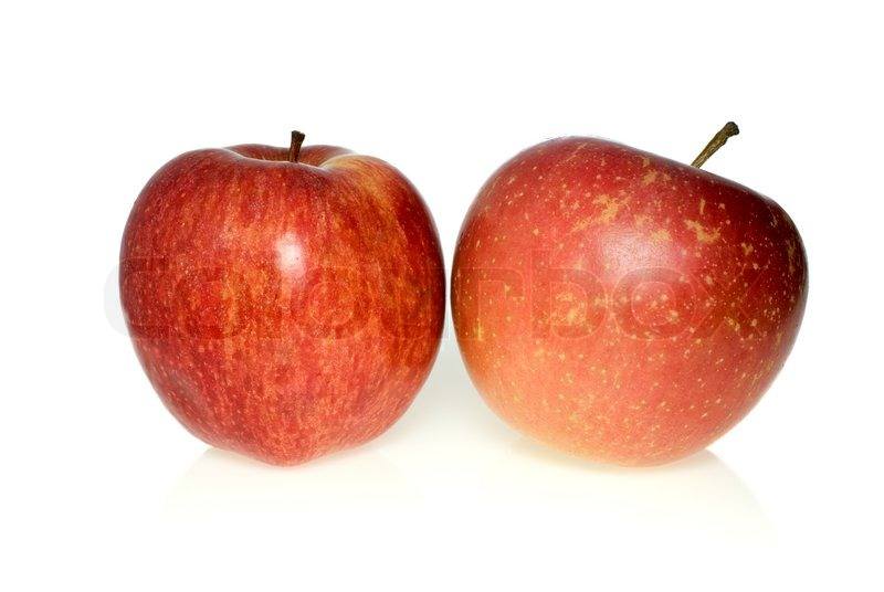 3325845-478936-two-red-apples-of-different-breeds-isolated-on-the-white-background.jpg