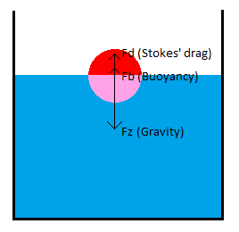 Forces on a falling sphere in a liquid