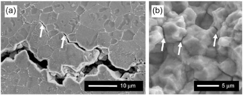 a-crack-path-and-b-fracture-surface-in-alloy.jpg