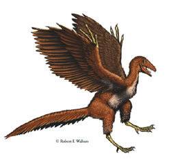 archaeopteryx.jpg