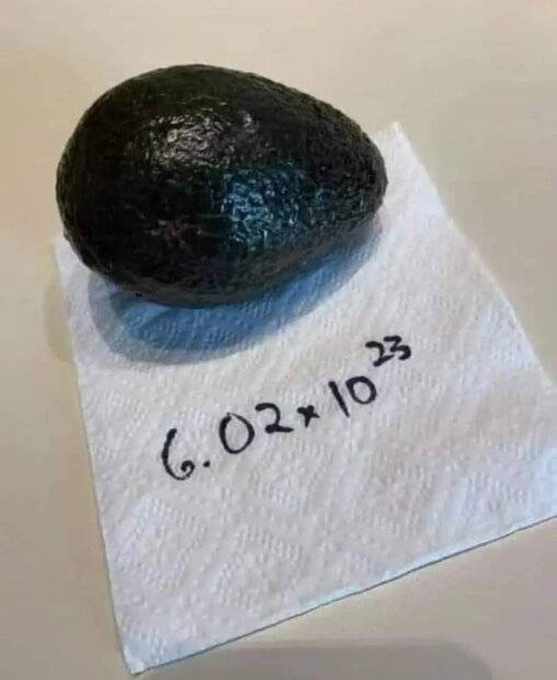 avocado.jpg