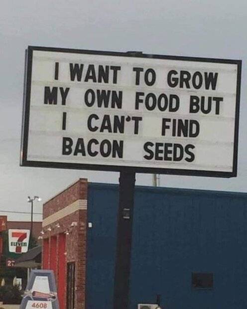 Bacon Seeds.jpg