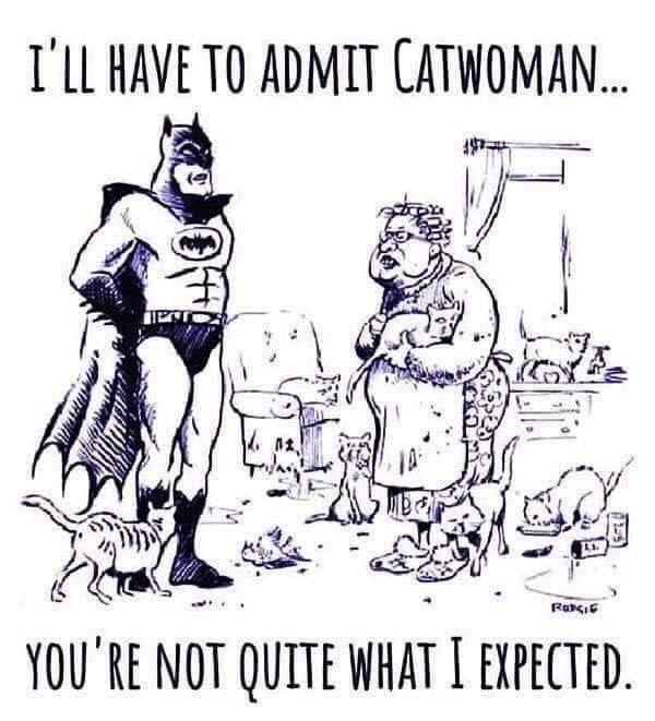 batman meets catwoman.jpg