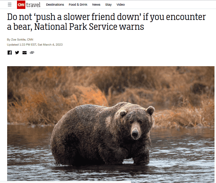 Bear.png