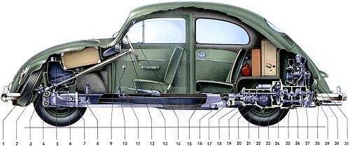 beetle_cutaway500.jpg