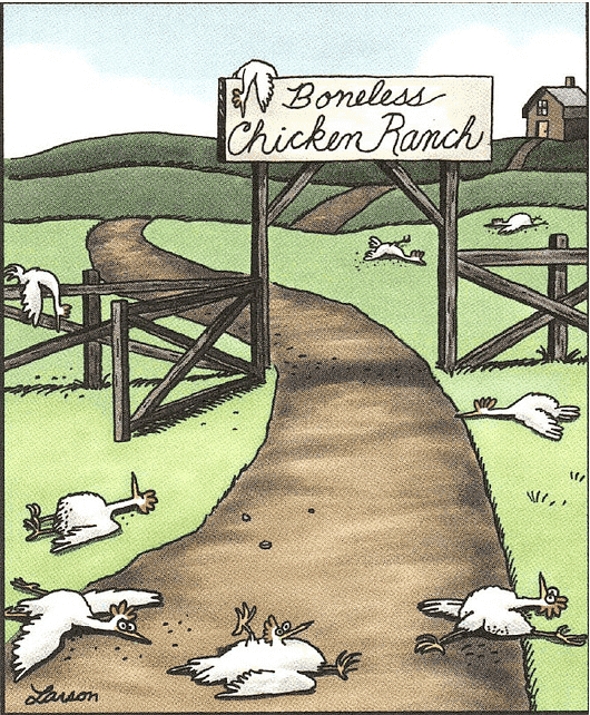 boneless-chicken-ranch-far-side-247x300.png