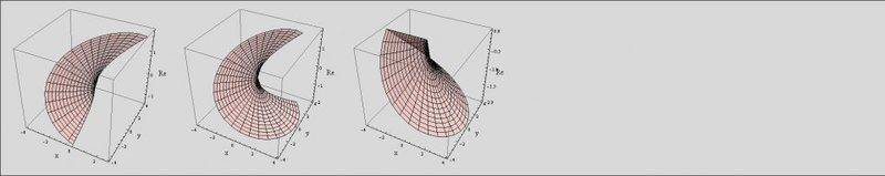 branches of square root.jpg