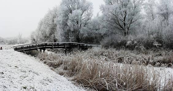 bridge-westerpark_002-1.jpg