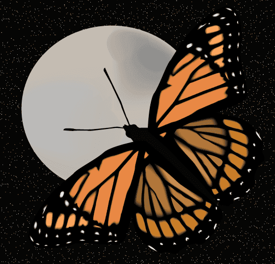 Butterfly_and_moon.png