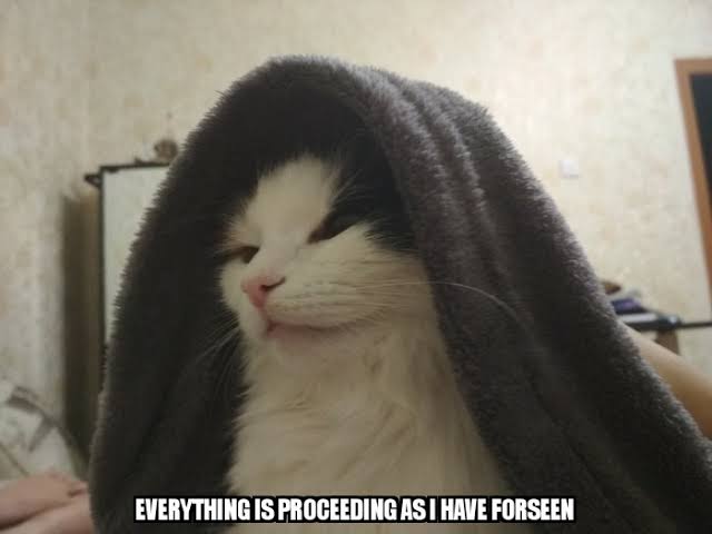 Cat Emperor.jpg