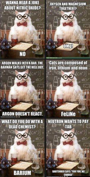 cat-meme-chemistry.jpg