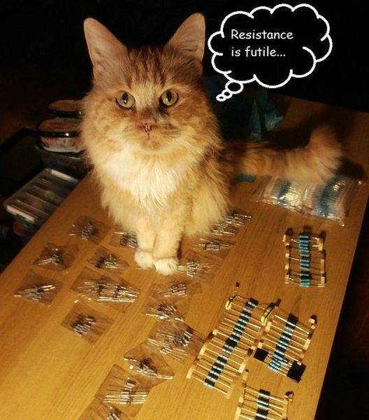cat resistance.jpg