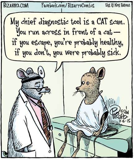 cat-scan.jpg