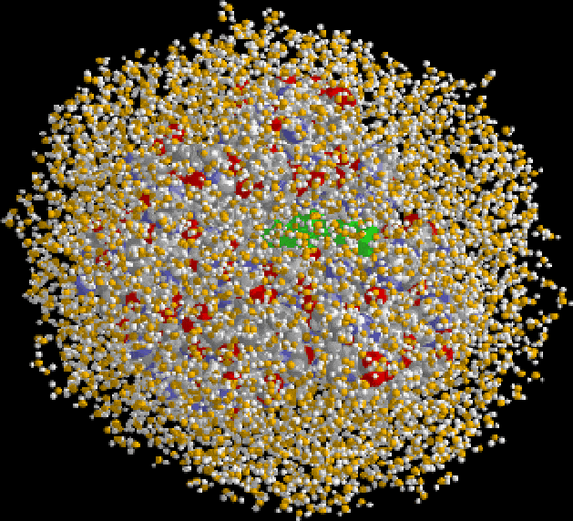 charmm.molecule.gif