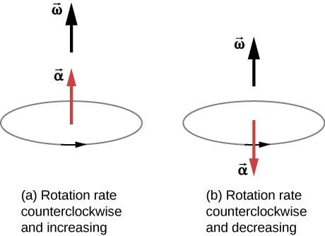 CNX_UPhysics_10_01_AngAccVec.jpg