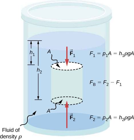 CNX_UPhysics_Figure_14_04_NetBuoyant.jpg