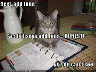 cookingLOLcat2.jpg