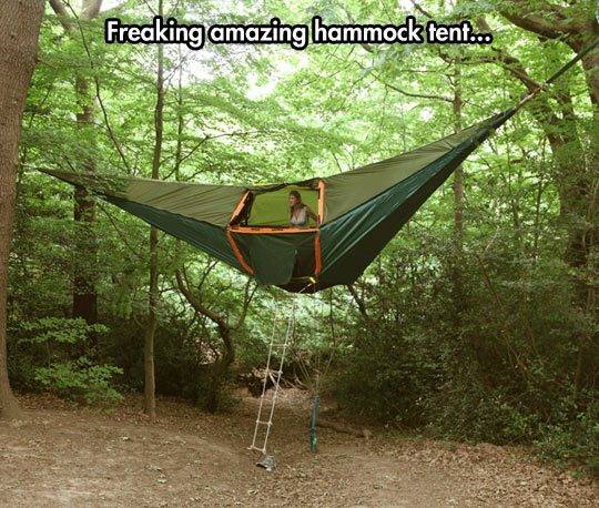 cool-hammock-tent-tree-forest.jpg