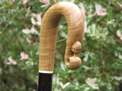 crook+acorn.ram.springer+carrying-09.jpg