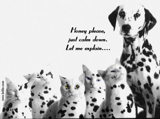 dalmation.gif