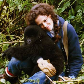 dian-fossey-film-characters-photo-u2.jpg