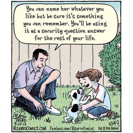 dog-name.jpg