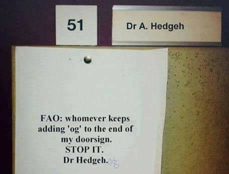 Dr Hedgeh.jpg