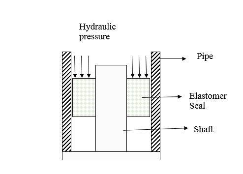 Kinetics of the coefficient of friction of elastomers